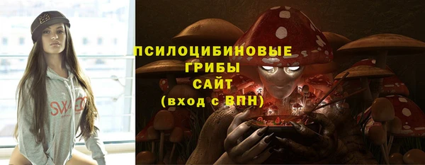apvp Алзамай
