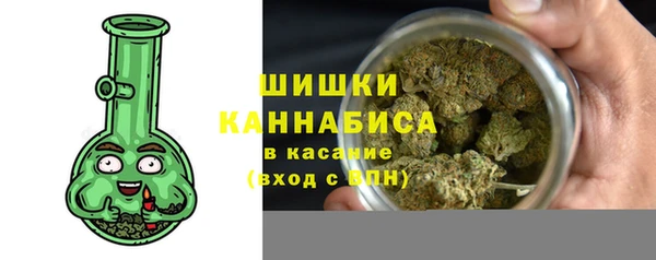 СК Осинники