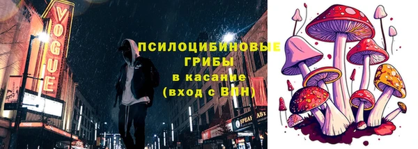 амф Алексин