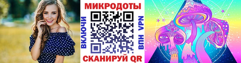 Псилоцибиновые грибы Magic Shrooms  где купить наркоту  Новокубанск 